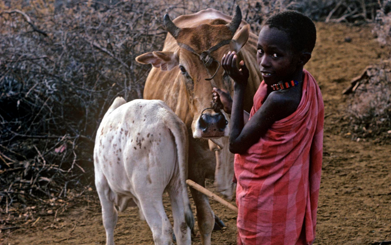 Maasai Herd Boy